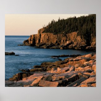 Coastline of Acadia National Park , Maine Posters