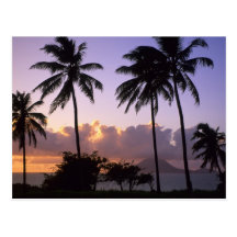 Coastline St. Kitts Post Cards