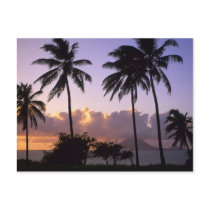 Coastline St. Kitts Post Cards