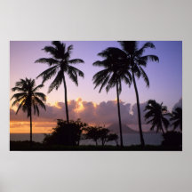 Coastline St. Kitts Posters