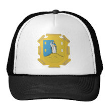 Coat Arms San Luis Potosi Official Mexico Symbol Hat