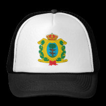 Coat of arms of Durango Mexico Official Symbol hats