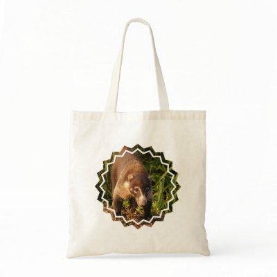 Coatimundi+for+sale