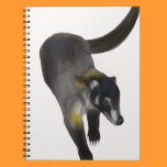 Coati notebooks