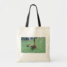 Coatis Bag