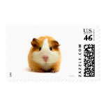 COBAYE stamps