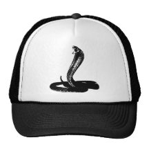 Cobra - black hats
