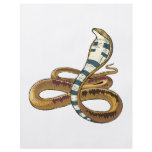 cobra flyers