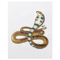 cobra flyers