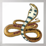 cobra posters