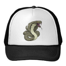 Cobra snake about to strike hat