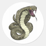 Cobra snake about to strike stickers