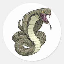 Cobra snake about to strike stickers