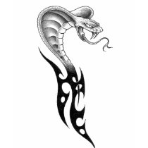 cobra-snake t-shirts