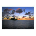 Cobra Sunset posters by FlyOff Cobra Sunset posters