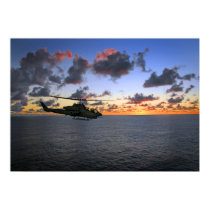 Cobra Sunset posters
