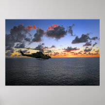 Cobra Sunset Posters
