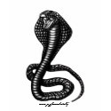 Cobra t-shirt design by vitaliy Cobra t-shirt design
