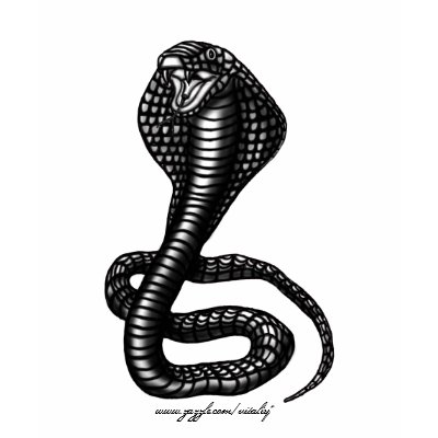 Cobra t-shirt design by vitaliy