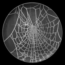 Cobweb plates