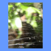 Cobwebs Poster posters