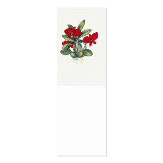 Coccinea de Sophronitis Plantilla De Tarjeta De Negocio