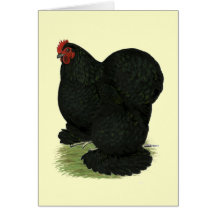Cochin:  Black Hen Card