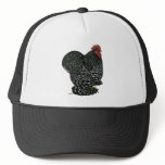 Cochin:  Black Mottle hats