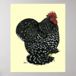 Cochin:  Black Mottle posters