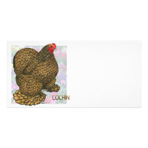 Cochin:  Gold-laced Hen Photo Card