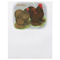 Cochin:  Golden-laced2 Flyer Design