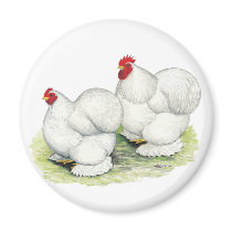 Cochin:  White Bantams magnets