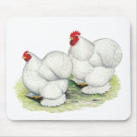 Cochin:  White Bantams mousepads