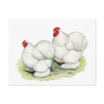 Cochin:  White Bantams postcards