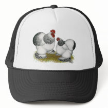 Cochins:  Columbian Bantams Mesh Hat