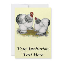 Cochins:  Columbian Bantams Invite