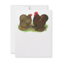Cochins:  Golden-laced invitations