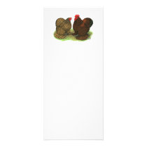 Cochins:  Golden-laced Rack Card Design