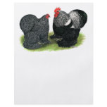 Cochins:  Silver-penciled Flyers