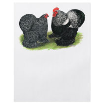 Cochins:  Silver-penciled Flyers