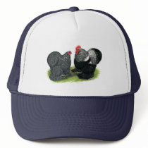 Cochins:  Silver-penciled Hats