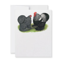 Cochins:  Silver-penciled Custom Invitations