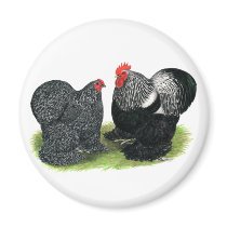 Cochins:  Silver-penciled Fridge Magnet