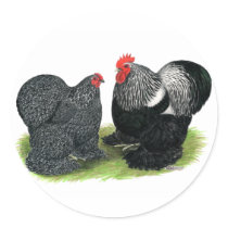 Cochins:  Silver-penciled Stickers