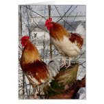Cock-a-doodle-do Greeting Card