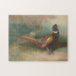 Cock and hen pheasant jigsaw puzzles