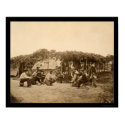 Cock Fight at Wilcox's Headquarters 1864 posters