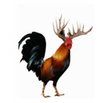 Cock Fighter t-shirts