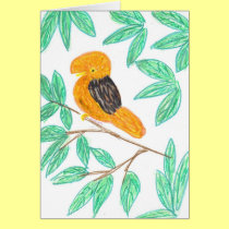 Cock O the Rock by Wendy C. Allen cards