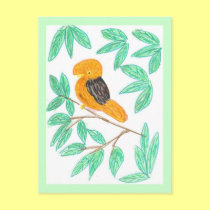 Cock o the Rock by Wendy C. Allen postcards